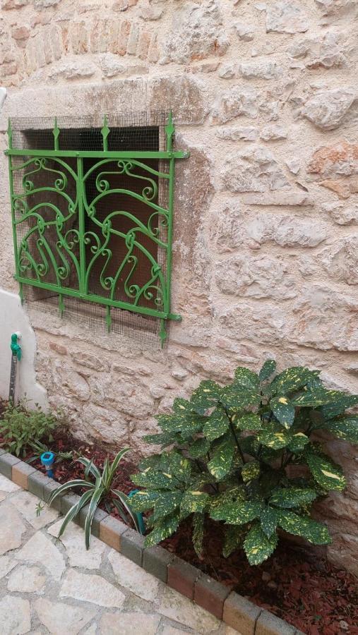 Studio With Garden In רוביני מראה חיצוני תמונה